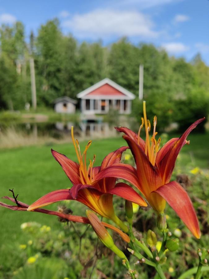 Hannunluhdan Lomamoekit Karijoki Extérieur photo